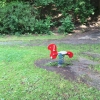 Bild 9 von 9