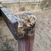 Bild vom Spielplatz anzeigen.