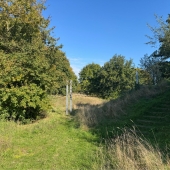 Bild vom Spielplatz anzeigen.