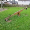 Bild 9 von 9