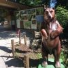 Bild 5 von 17