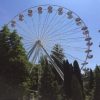 Bild 7 von 17