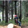 Bild 6 von 6
