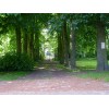 Bild 8 von 8
