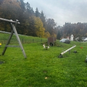 Bild vom Spielplatz anzeigen.