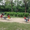 Bild 7 von 12