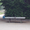Bild 9 von 12