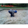 Bild 6 von 6