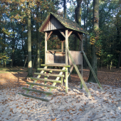 Bild 7 von 13