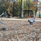 Bild 11 von 13