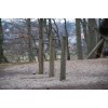 Bild 7 von 9