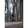 Bild 9 von 9