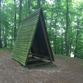 Bild 4 von 9