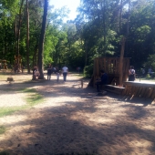 Bild 11 von 12