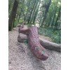 Bild 5 von 7
