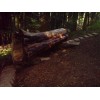 Bild 6 von 7