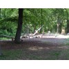 Bild 4 von 10