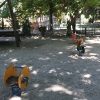 Bild 15 von 25