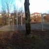 Bild 2 von 4
