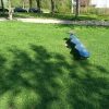 Bild 10 von 12