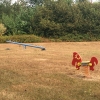 Bild 4 von 12