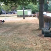 Bild 5 von 12