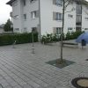 Bild 3 von 3