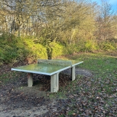 Bild vom Spielplatz anzeigen.