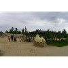 Bild 4 von 9