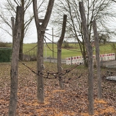 Bild vom Spielplatz anzeigen.